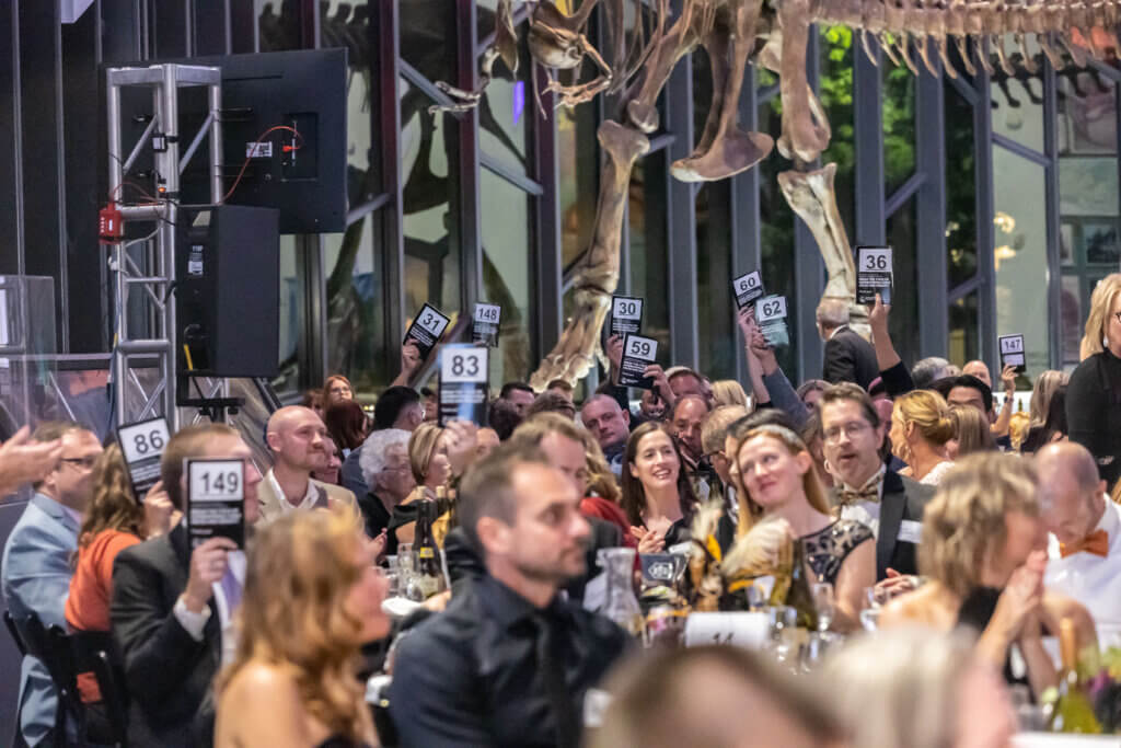 HQ Gala 94