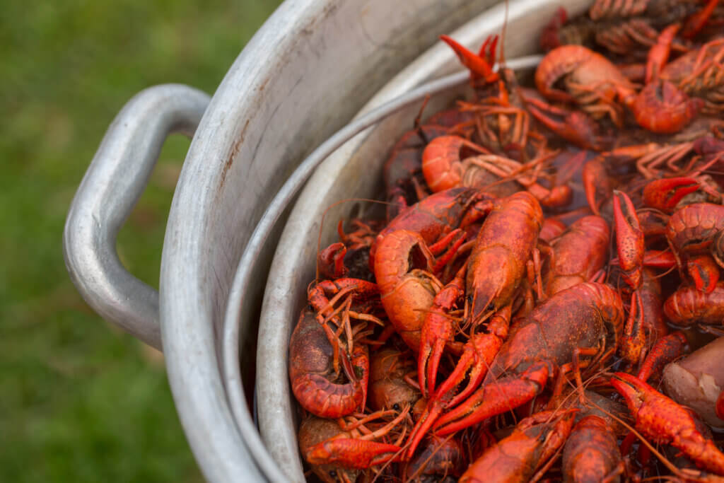 Crawfish Festival – Kansas City