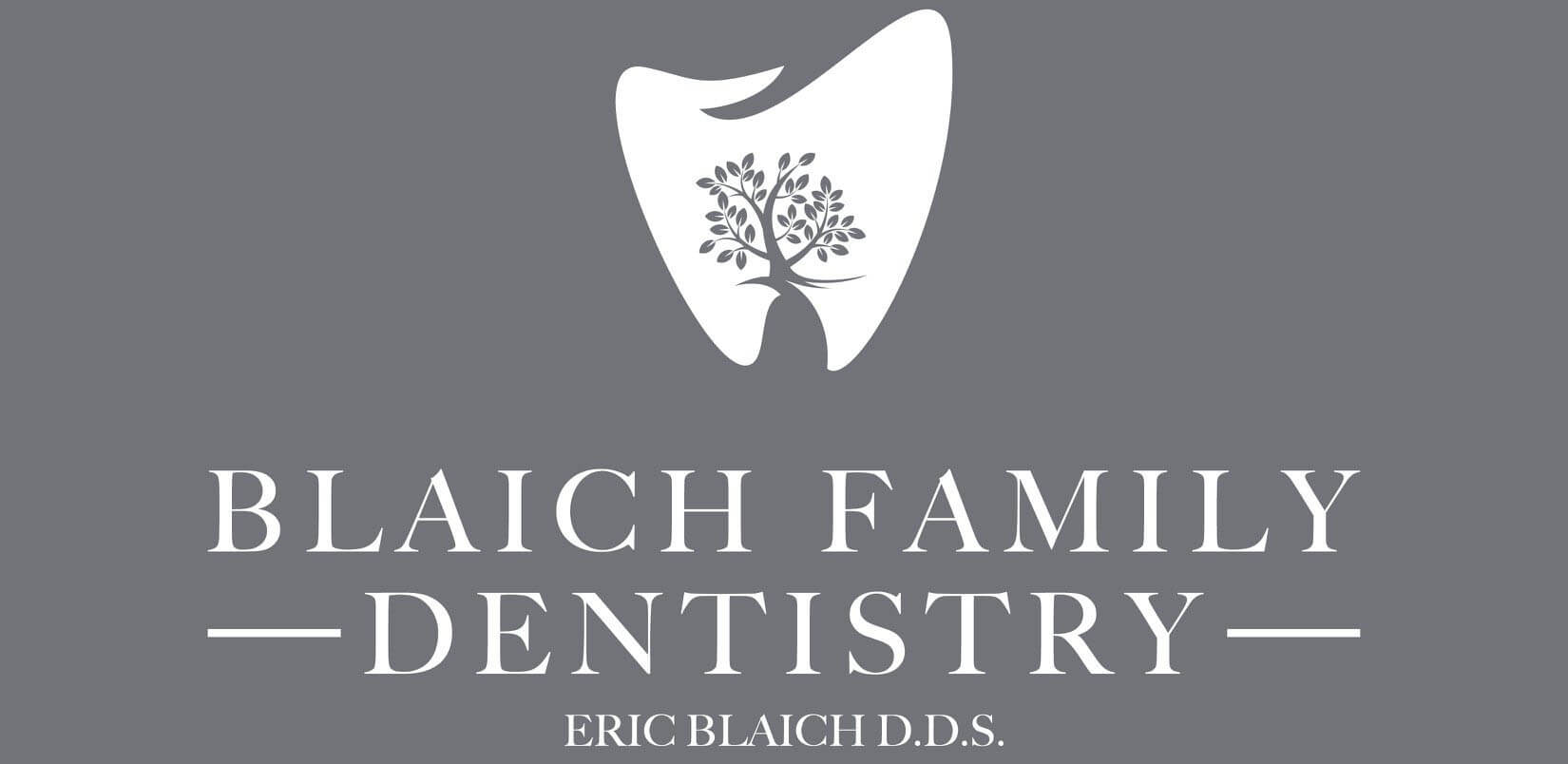 Blaich Family Dentistry 500 Sponsor